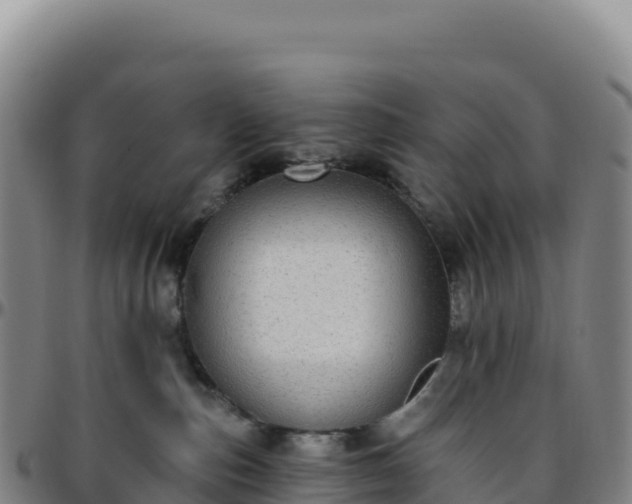 X0000096490187200801311626