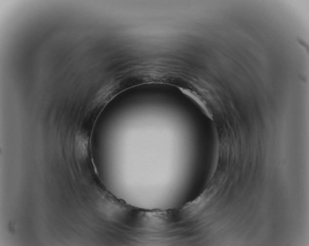 X0000096490188200801311626