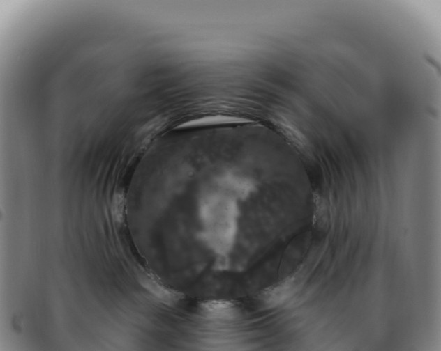 X0000096490189200801311626