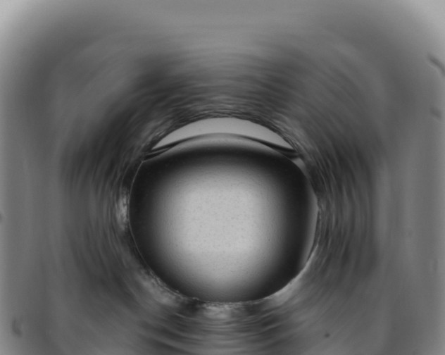 X0000096490190200801311626