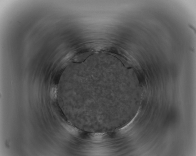 X0000096490191200801311626