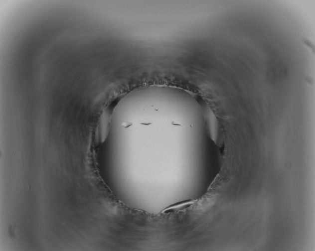 X0000096490192200801311626