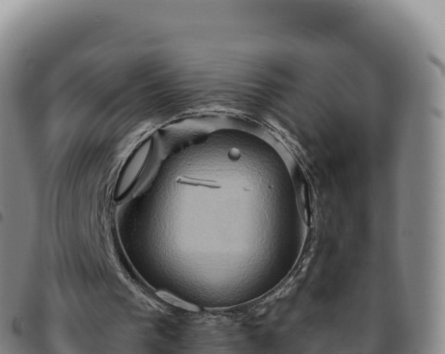 X0000096490193200801311625