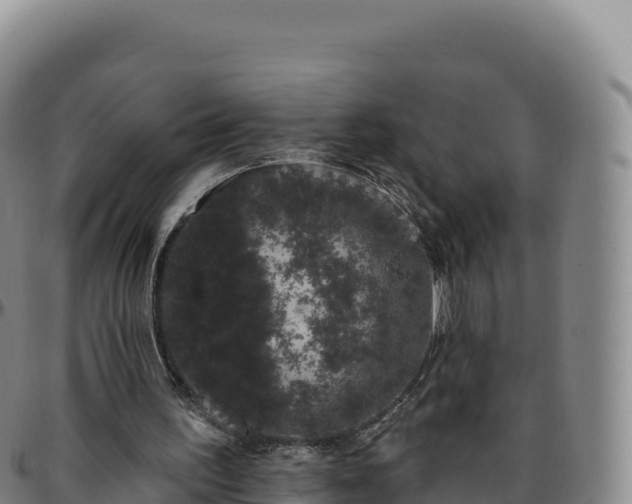 X0000096490195200801311625