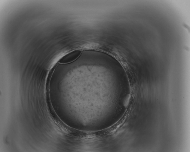 X0000096490196200801311625