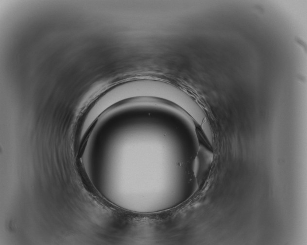 X0000096490197200801311625