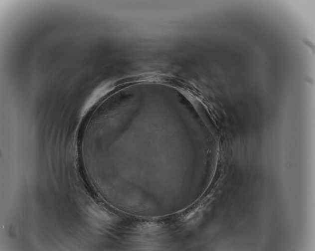 X0000096490198200801311625