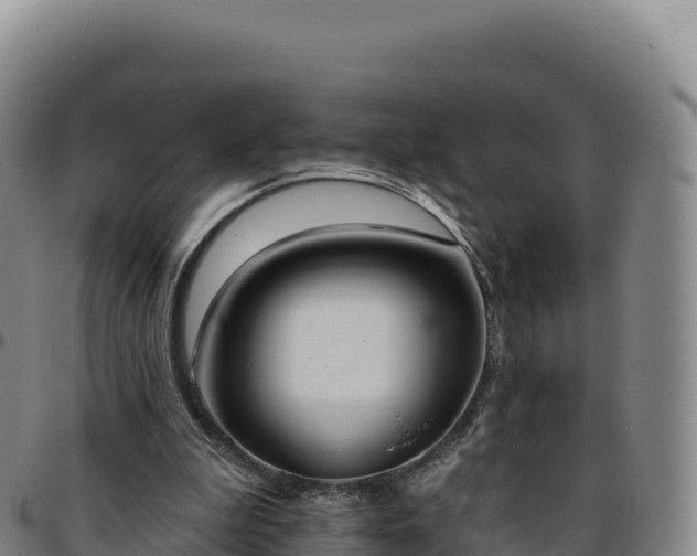 X0000096490199200801311625