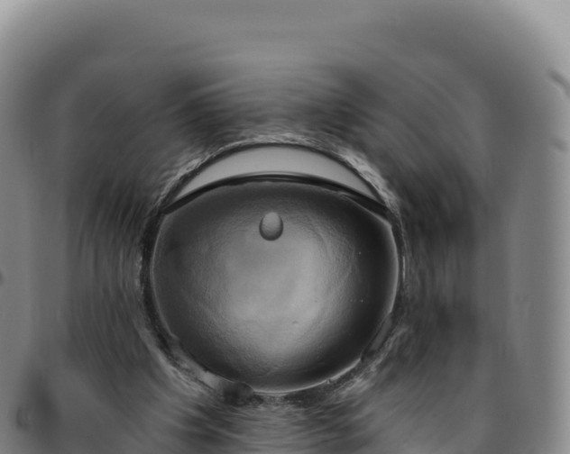 X0000096490201200801311625