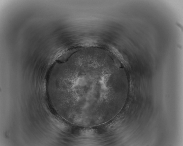 X0000096490202200801311625