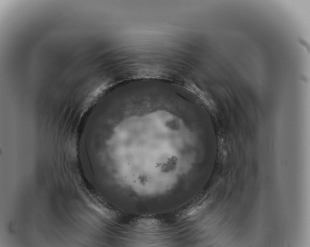 X0000096490203200801311625