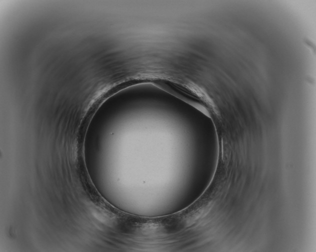 X0000096490204200801311625