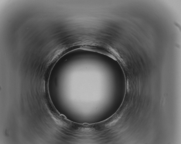 X0000096490205200801311625