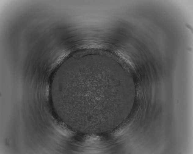 X0000096490206200801311625