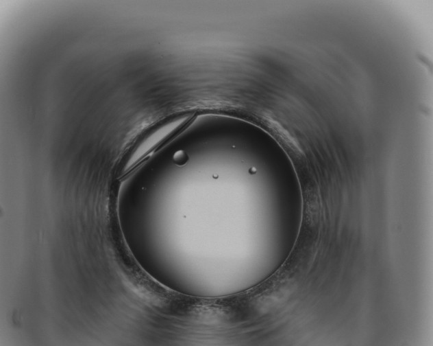 X0000096490207200801311625