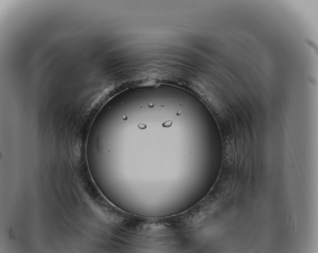 X0000096490208200801311625