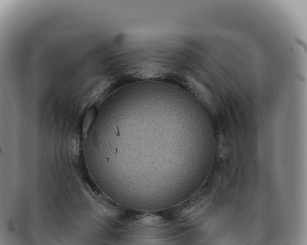 X0000096490210200801311625