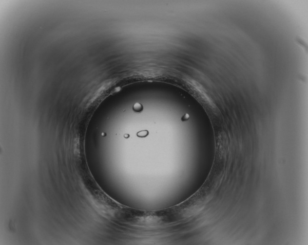 X0000096490212200801311625