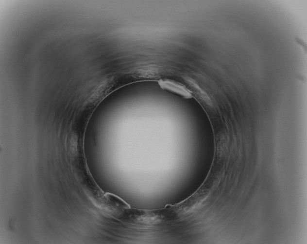 X0000096490213200801311625