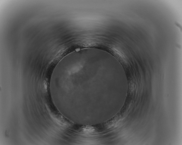 X0000096490214200801311625