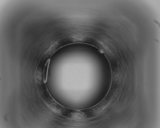 X0000096490215200801311625