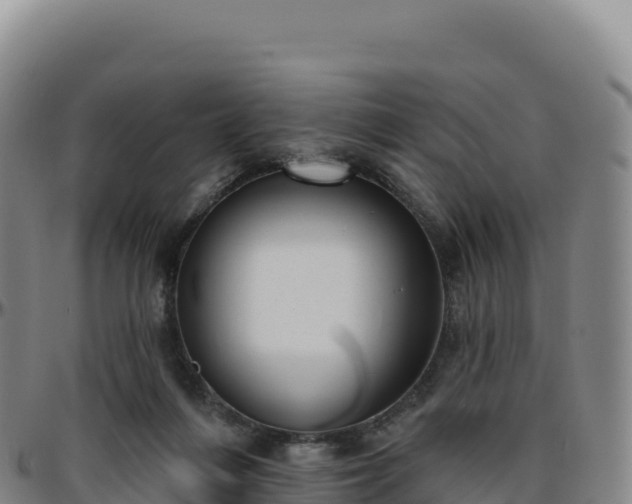 X0000096490216200801311625