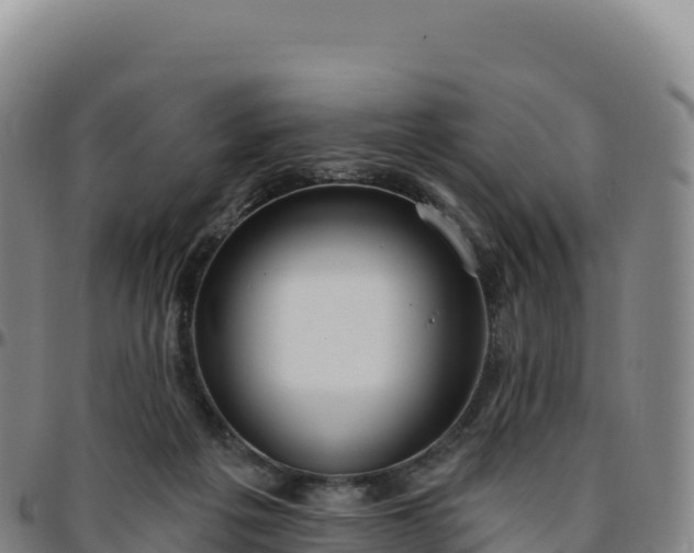 X0000096490217200801311625