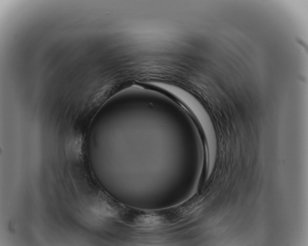 X0000096490219200801311625