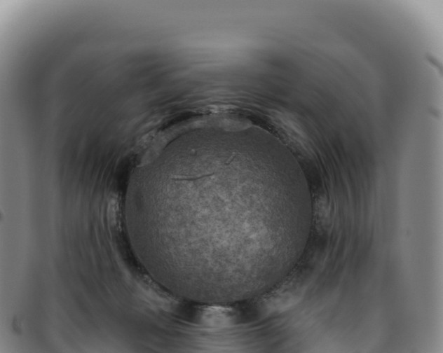 X0000096490222200801311625