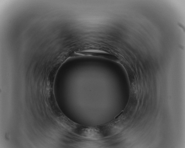 X0000096490223200801311625