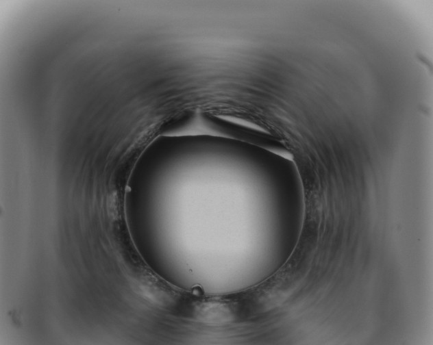 X0000096490224200801311625