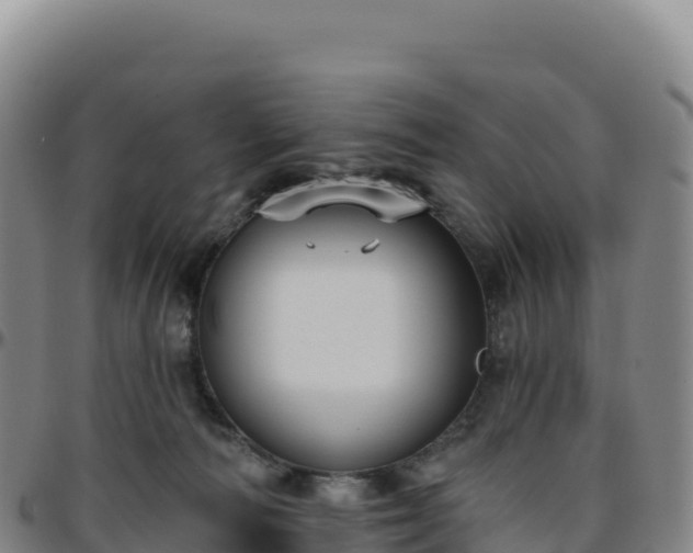 X0000096490226200801311625