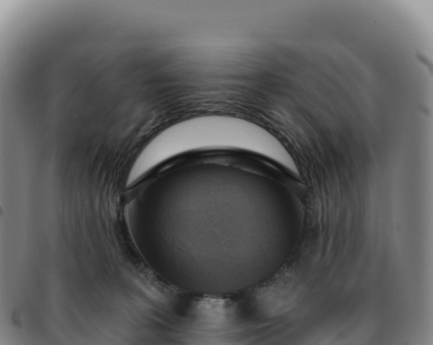 X0000096490227200801311625