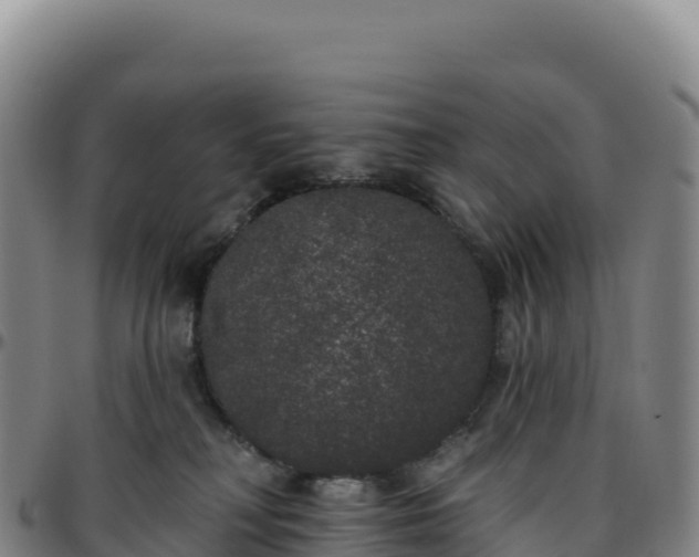 X0000096490230200801311625