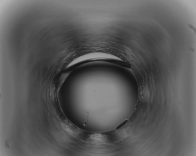 X0000096490231200801311625