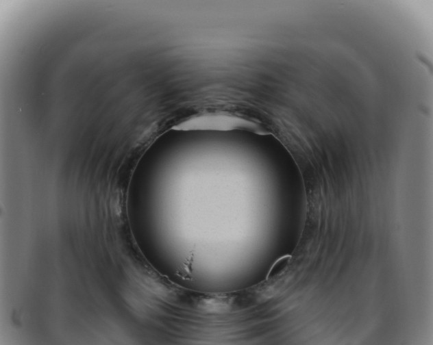 X0000096490232200801311625