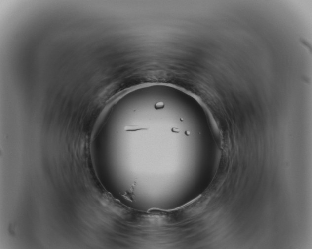 X0000096490233200801311625