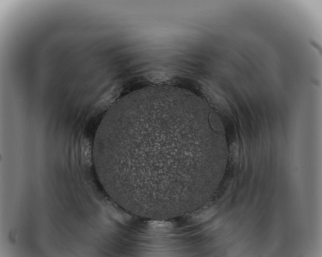 X0000096490234200801311625