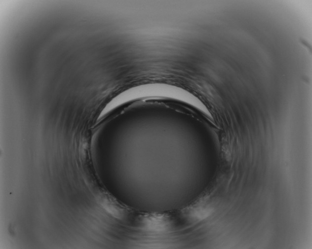 X0000096490235200801311625