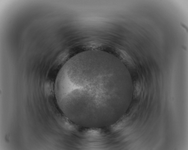 X0000096490236200801311625