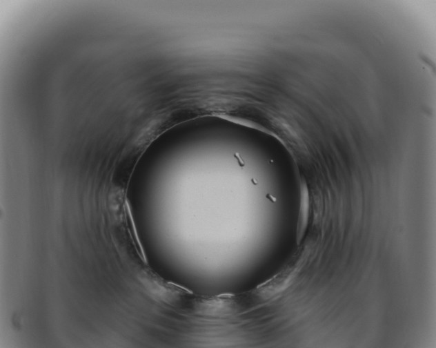 X0000096490237200801311625