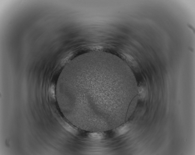 X0000096490238200801311625