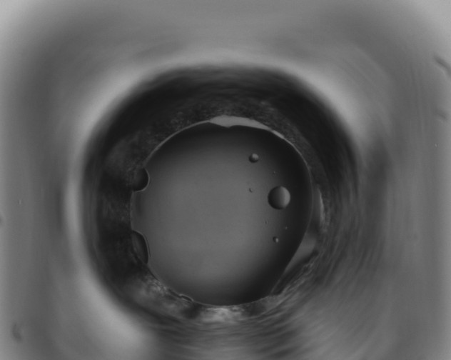 X0000096490239200801311625