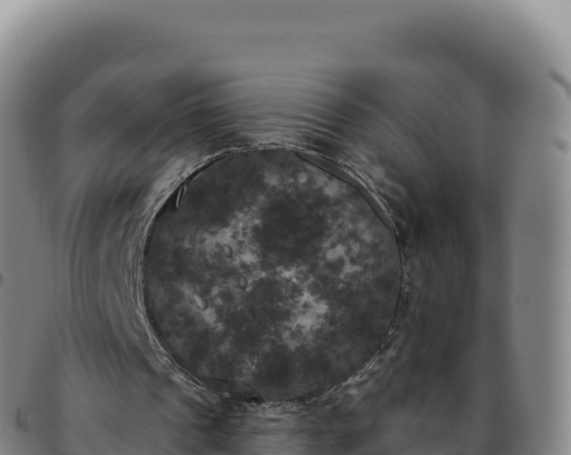 X0000096490241200801311624