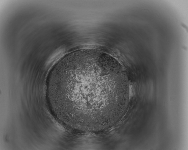 X0000096490243200801311624
