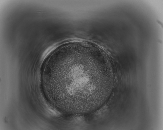 X0000096490247200801311624