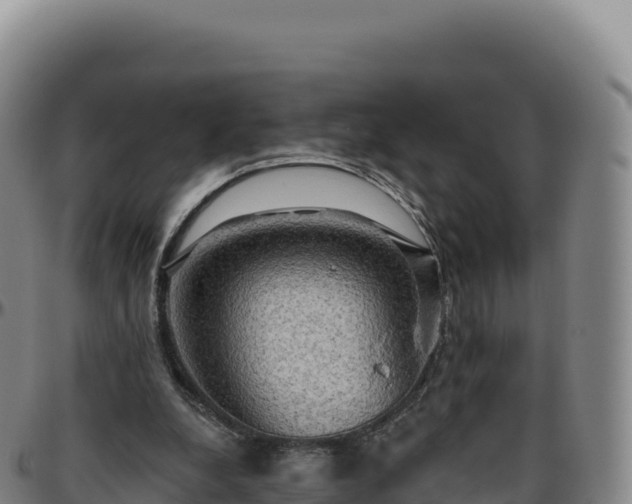 X0000096490248200801311624