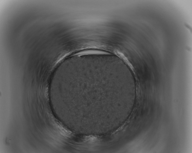 X0000096490249200801311624