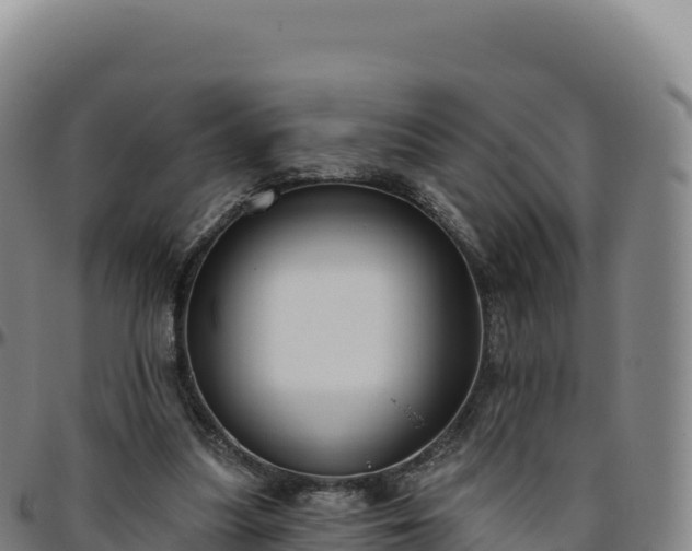 X0000096490251200801311624