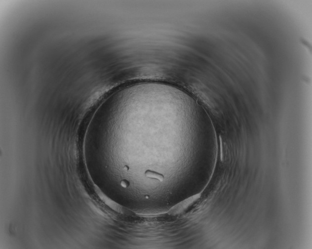 X0000096490252200801311624